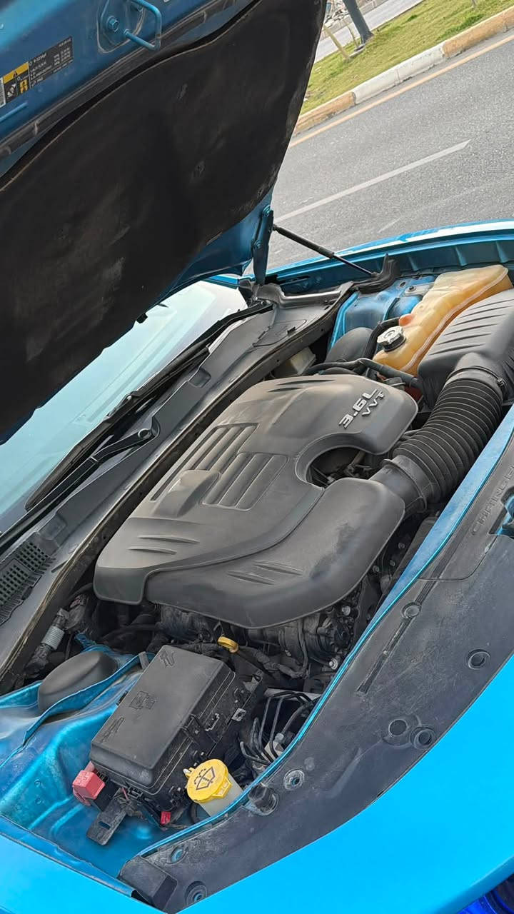 جارجر خليجي 2019
السلام عليكم

جارجر 2019 خليجي بحري 

فئه SXT
مواصفات ستندر 

6 سلندر 

للبيع فقط بدون مراوس فقط بيع 

كفاله عامة حتى دعاميات بدون
فقط ملاحظات بسيطه رصعه شخوط دعاميات 

ماشيه 68 
كير مكينه حدادية 100‎%‎

رقم اربيل تحويل مباشر 

مكان السيارة بغداد السيدية

السعر 225 مجال بسيط للشراي

حبايب سياره خليجيه ولون مميز لحد يقارنها بالأمريكي

اي استفسار 
***********
