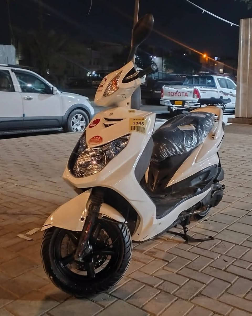 سكنس فحل • ياباني • مكفوله