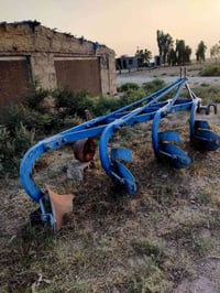 العزيزية واسط • ١٤ فدان • فول نضافة