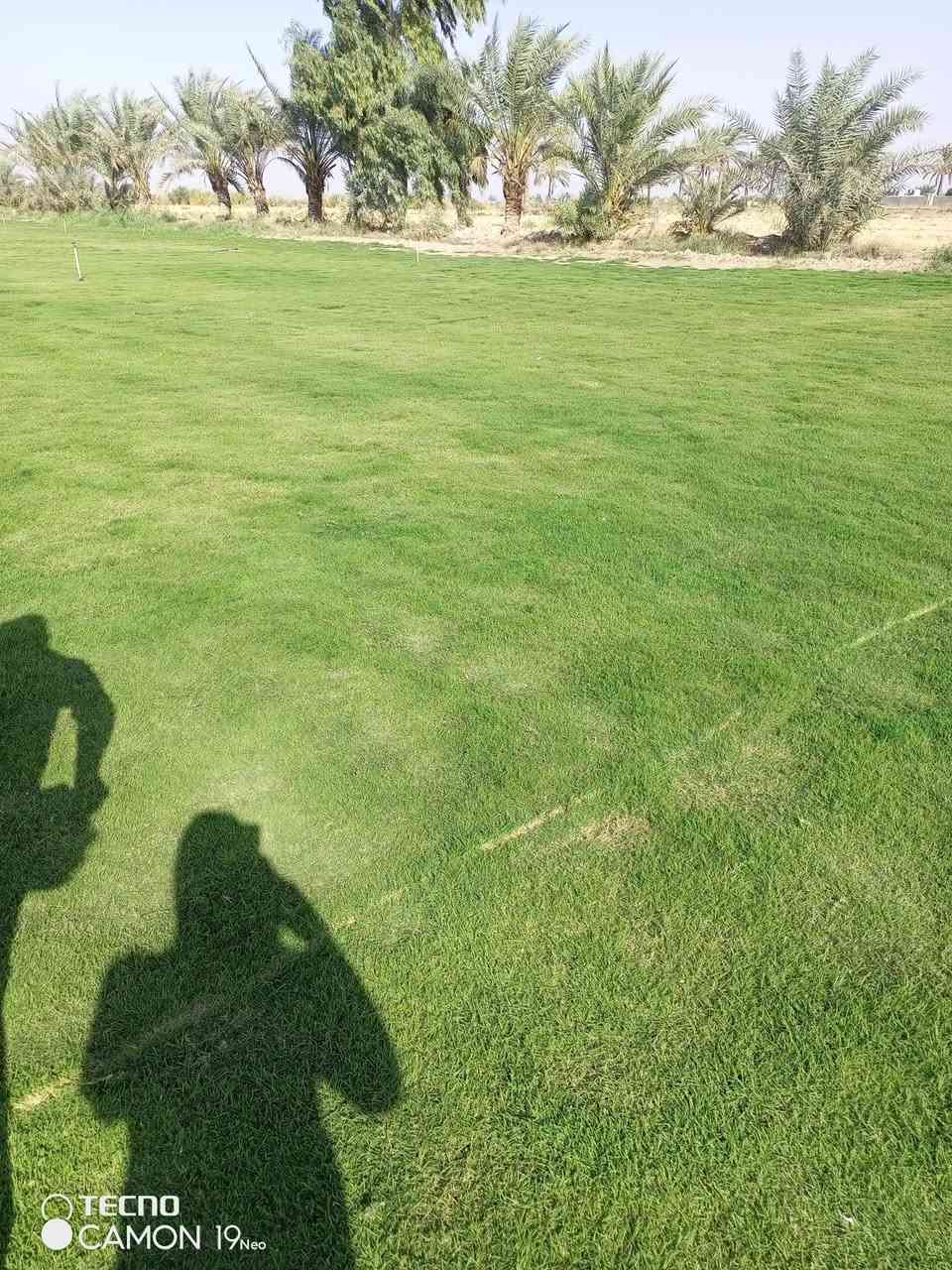 مزارع  الشمال للثيل الطبيعي 🍀
متوفر كافة انواع الثيل 🍀
( امريكي - الهندي - الايطالي - الفرنسي )
لتجهيز... مشاتل🌴
والدوائر حكوميه🏦
منازل🏡 
منتزهات🏄
موجود خدمة توصيل 🚕
لكل محافظات العراق 🚕
للطلب يرجى التواصل مع الصفحة او مراسلة واتساب او الاتصال على :
***********‏##‏‪***********‬‏
