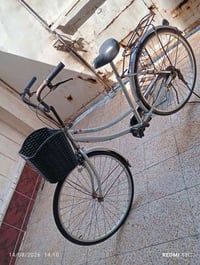 باسكيل • مقاس ٢٦ • نظيف