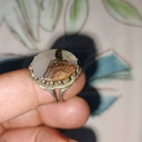 بالعافيه للياخذه  حط سعر متواجد واتساب  07818965759