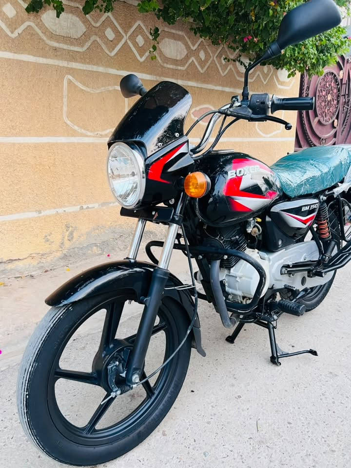 بوكسر • ٢٠٢٢ • كفاله عامه