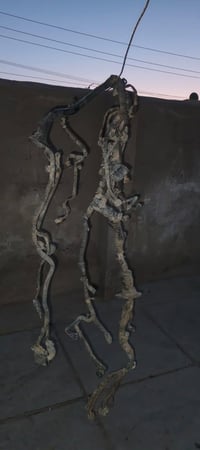 ظفيره