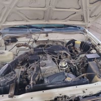 ٩٨ • نينوى • مكفولة صبغ وتبديل