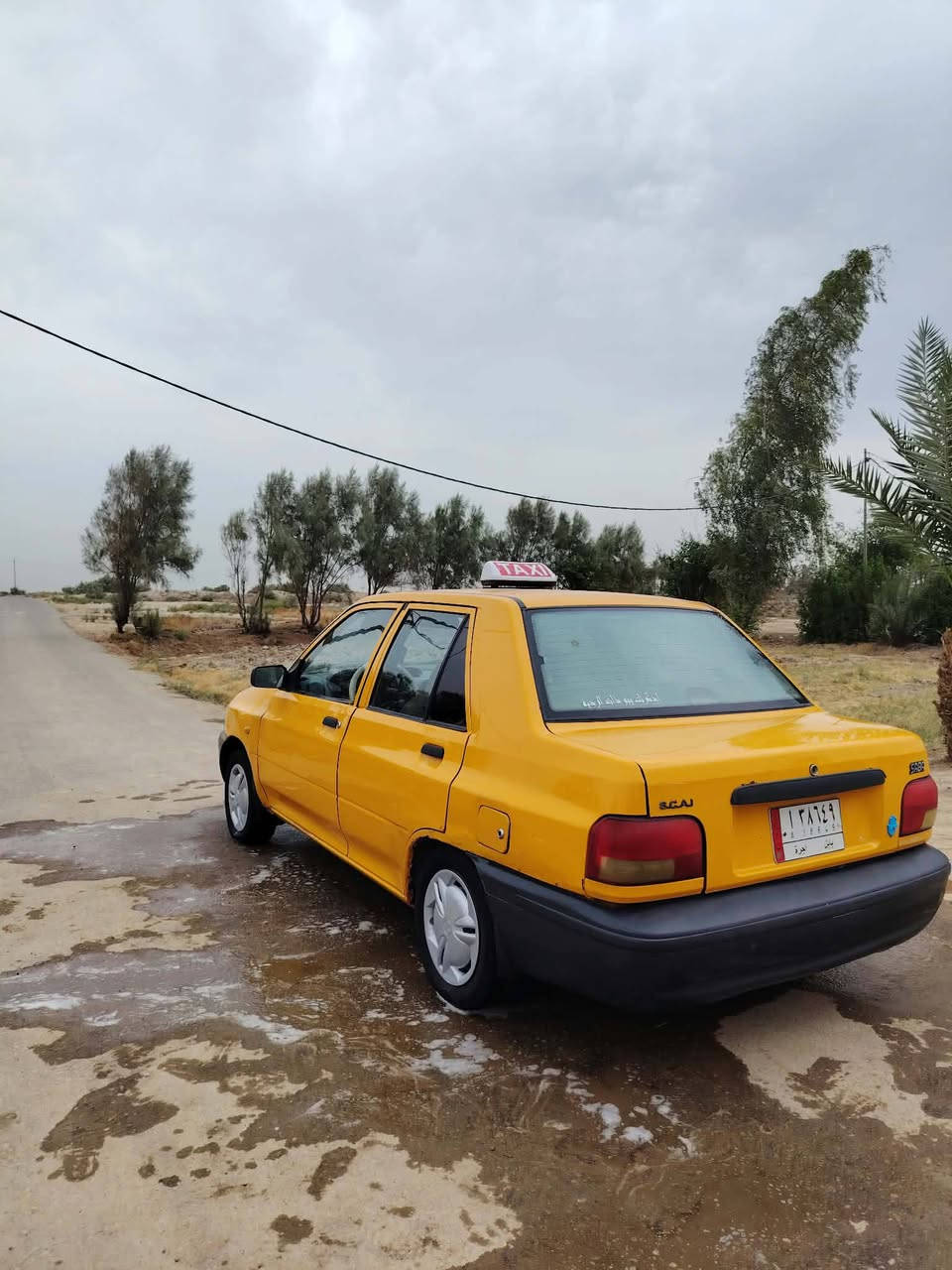 سايبا • ٢٠١٨ • ديوانية ال حمد