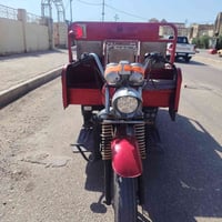 ستوته • موديل ٢٠١٩ • اوراق كامله