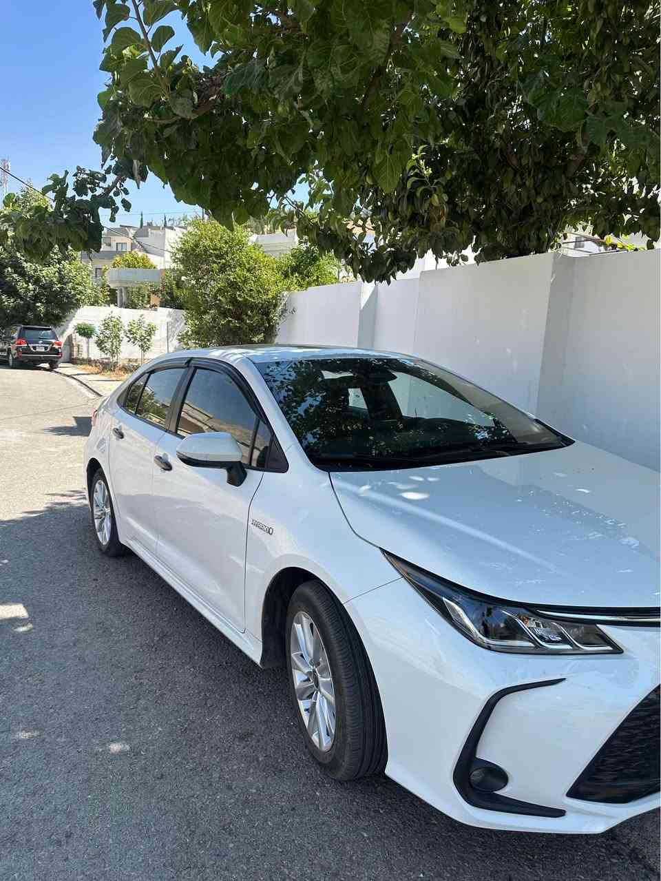 Toyota corolla hybred 2024 
٣٠ كم رؤيشتووه 
دعامى بو دعامى به شه رت 
قه پ و قوپ و شوختى نيه 
تعويل و غرامات به شه رت 
سعرى ١٦٤ مجاليكى كه م 
*********** أربيل, العراق
