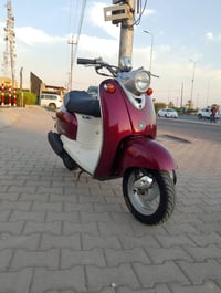 فينو • كابريتر • نظيفه