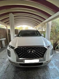 باليسايد • ٢٠٢٢ • كالكرافي