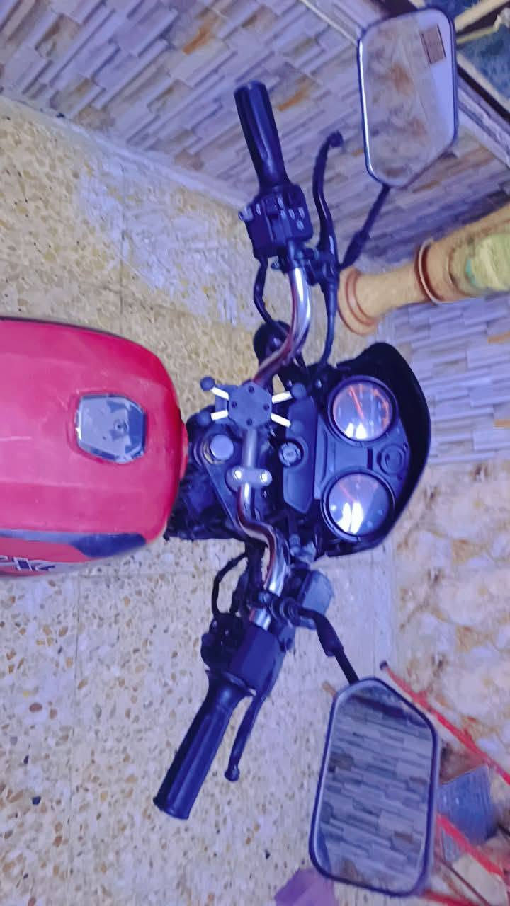 بوكسر جبلي • هندي • موديل ٢٠٢٣