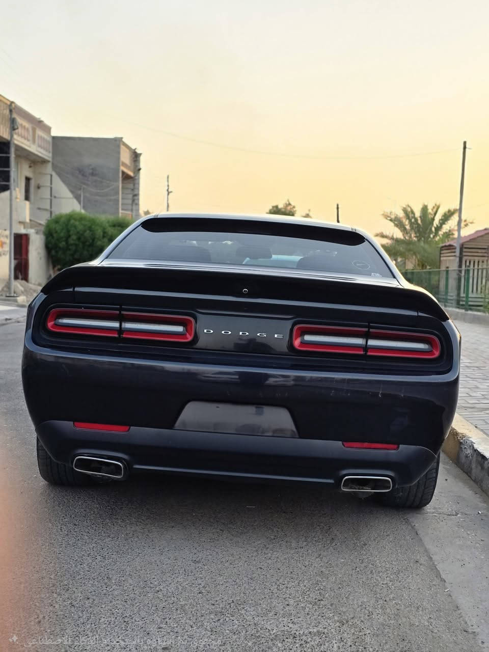 السلام عليكم اخوان دوج جالنجر sxt محرك كير ممفتوحات بلاد الداخل بلادي صدر امامي وخلفي بحالة ممتازة طخم ويل وتاير بحالة جيدة التبريد مشاء الله ثلج بدون اي نقص وصيانة كاملة قبل يومين وبعض النقوصات كملتهة بدلت واتر بام كان اكو نضوح بسيط عبالي قفيص جوين طلع الواشر مالة والقديم مبي شي حتة مي متنقص تبدل جديد اصلي اصلي وكالة موبر..
بطانة جاملغ ايمن كان بيهة قطعة واكعة تبدلت كاملة...

اخوان الحادث الوجه مال السيارة وكلشي موجود بالصور والسونار جديد..

راس شاصي ايمن والايسر ويم اللايت الايسر بداية اللغد وكدامكم الصور تايرات عدلة والبنيد شي بسيط البنيد مغلف ..

ايرباك دركة ودشبول..

قمارة جنطة الجانب الايمن مكفول اخوان كلشي كدامكم شرح وصور...

رقم بغداد سنوية باسمي اجددت الى 2031 وهزتهة تخلص شهر 9 وترايهة صاروخ ونعومة...

136 ورقةوانشاء الله بيهة مجال بالمعقول.

***********

***********

بيهن واتساب
