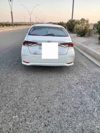 كورله جيهان • ٢٠٢٠ • رقم اربيل