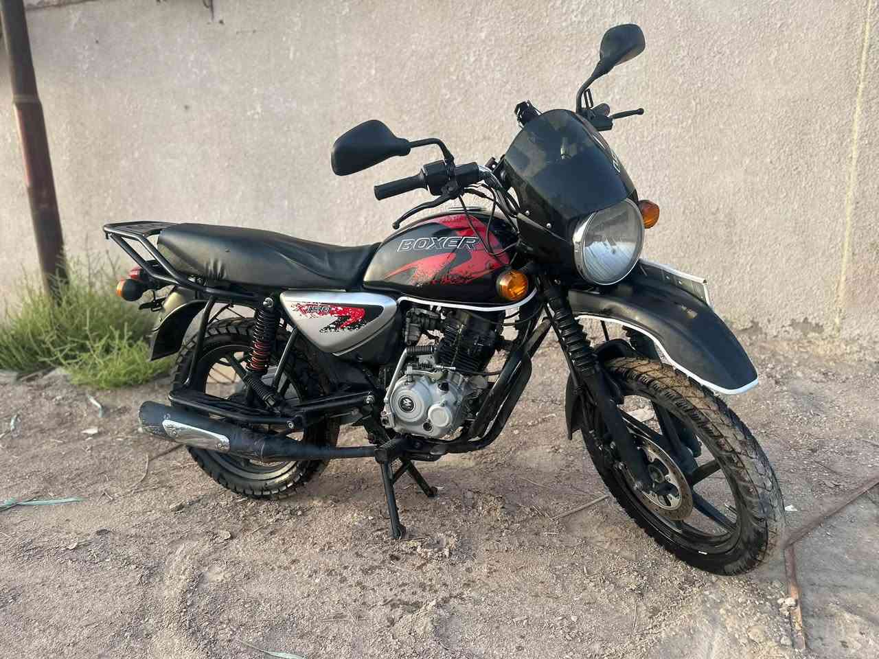 بوكسر جبلي • موديل 23 • رقم وسنويه