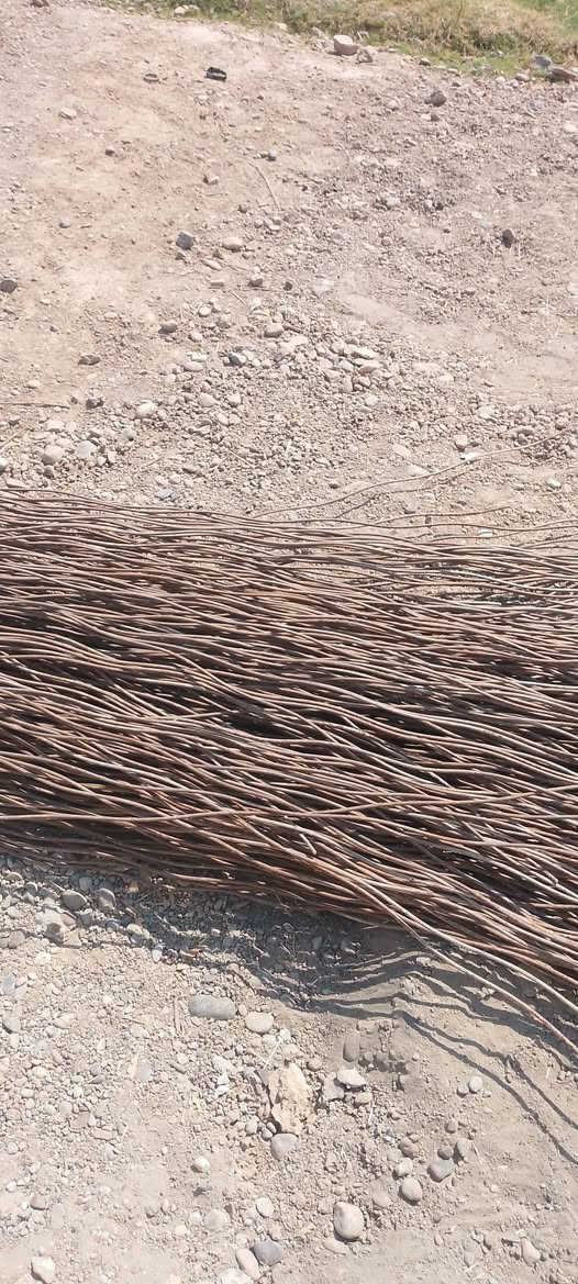 السلام عليكم يوجد شيش مال زراعة العدد ٣٤٠  الطول ٣متر السعر القطعه 500 دينار العنوان منشأة نصر شارع عمشه ***********  و***********
