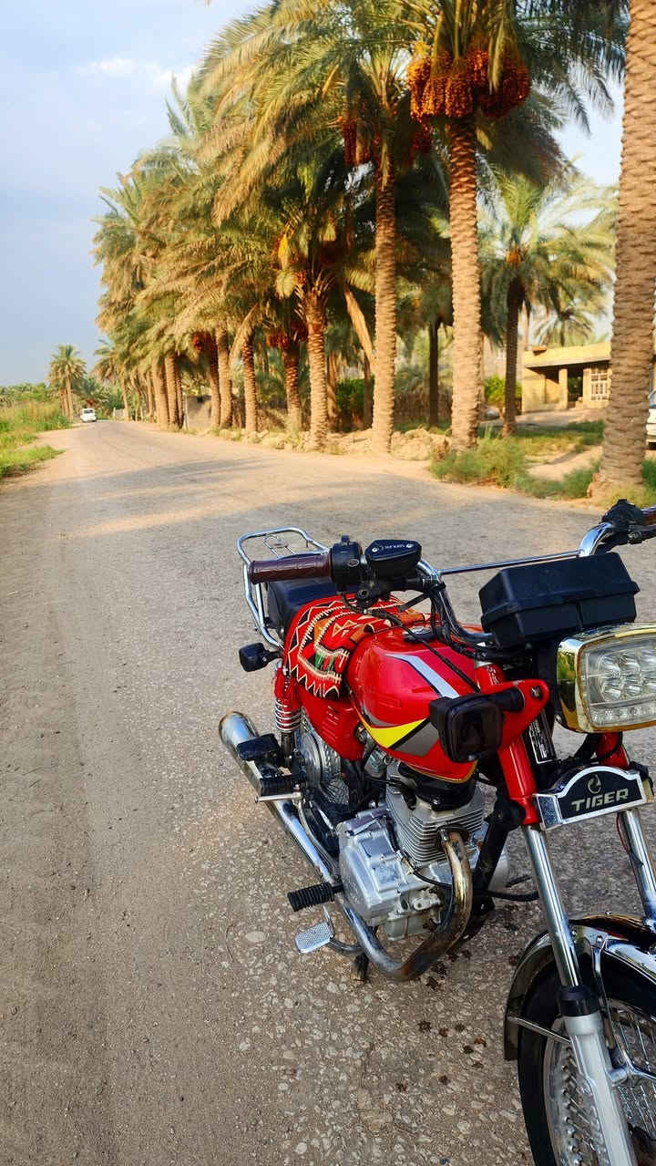 تايكر سولنك • ٢٠٢٤ • بستم