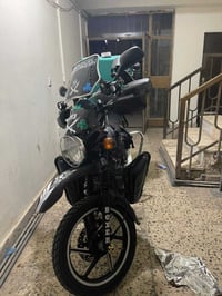 بوكسر • ٢٠٢٣ • اوراق