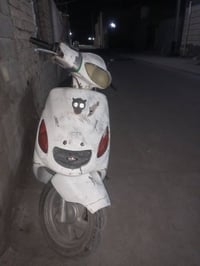 اكزز • شغاله • العكيكه