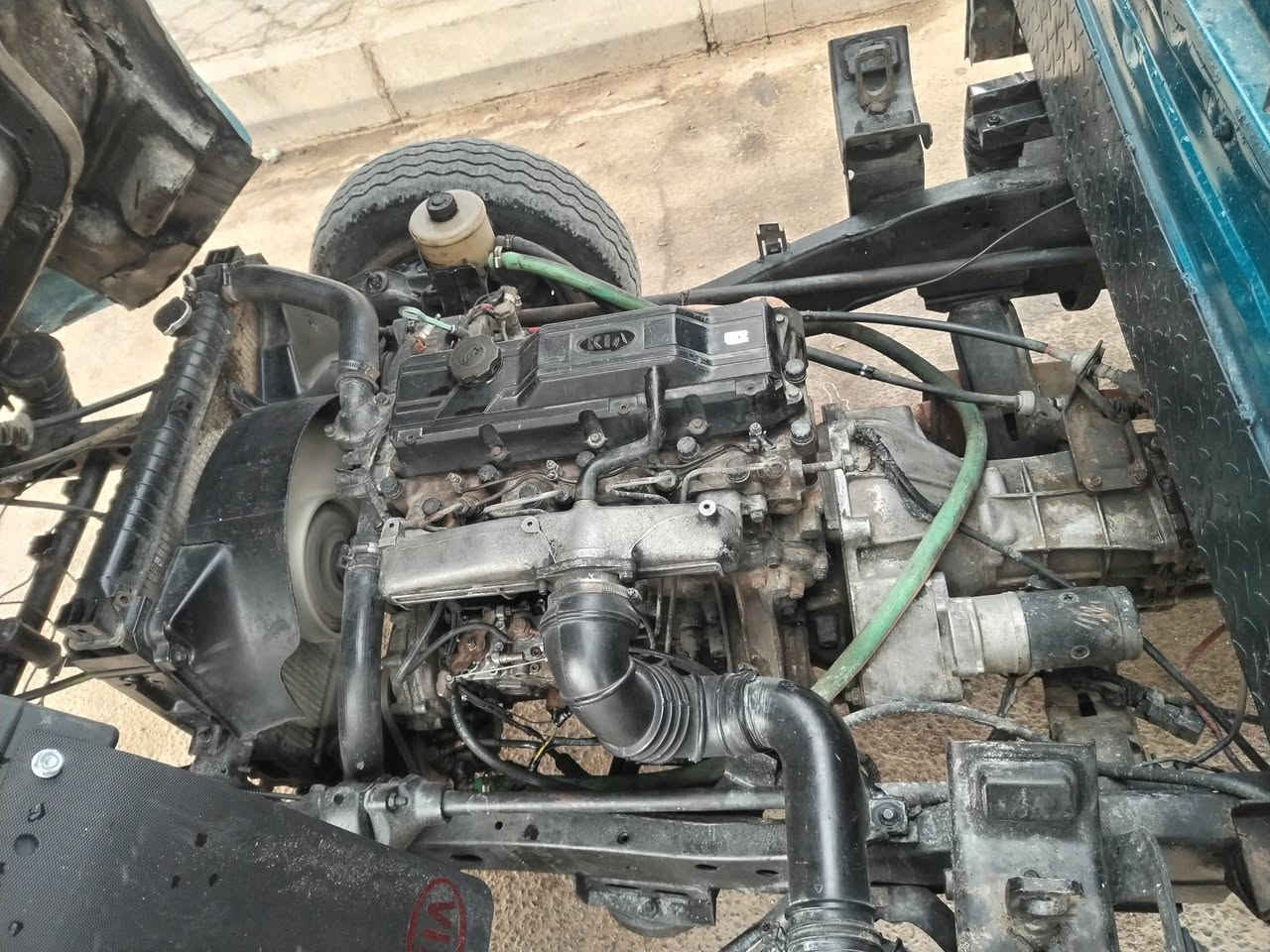 موديل ٩٩ • نجف • مصبوغه