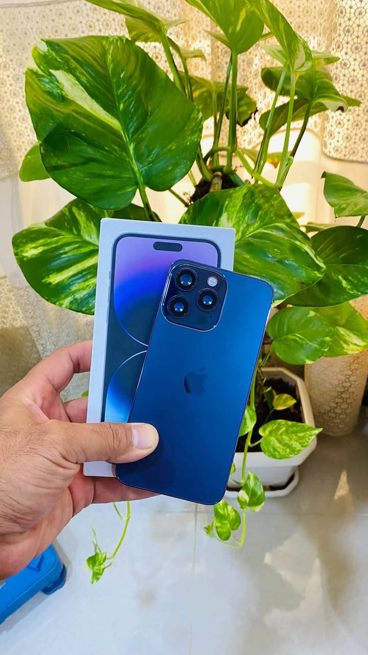 🔥🔥 للبيع — أجهزة بحالة جيدة وبسعر مناسب 🔥🔥
📱 آيفون 14 برو ماكس صيني

جهاز عملي وشكله أنيق ومناسب للاستخدام اليومي.

💰 السعر: 50,000 دينار

📷 كاميرا Haier

كاميرا عملية ومناسبة للتصوير والاستخدام المنزلي.

💰 السعر: 150,000 دينار

💯 الأجهزة متوفرة للبيع

💰 السعر مناسب وقابل للتفاوض للجادين

📲 للاستفسار والتواصل حصراً واتساب:

***********

📌 للمهتمين التواصل على الرقم أعلاه
