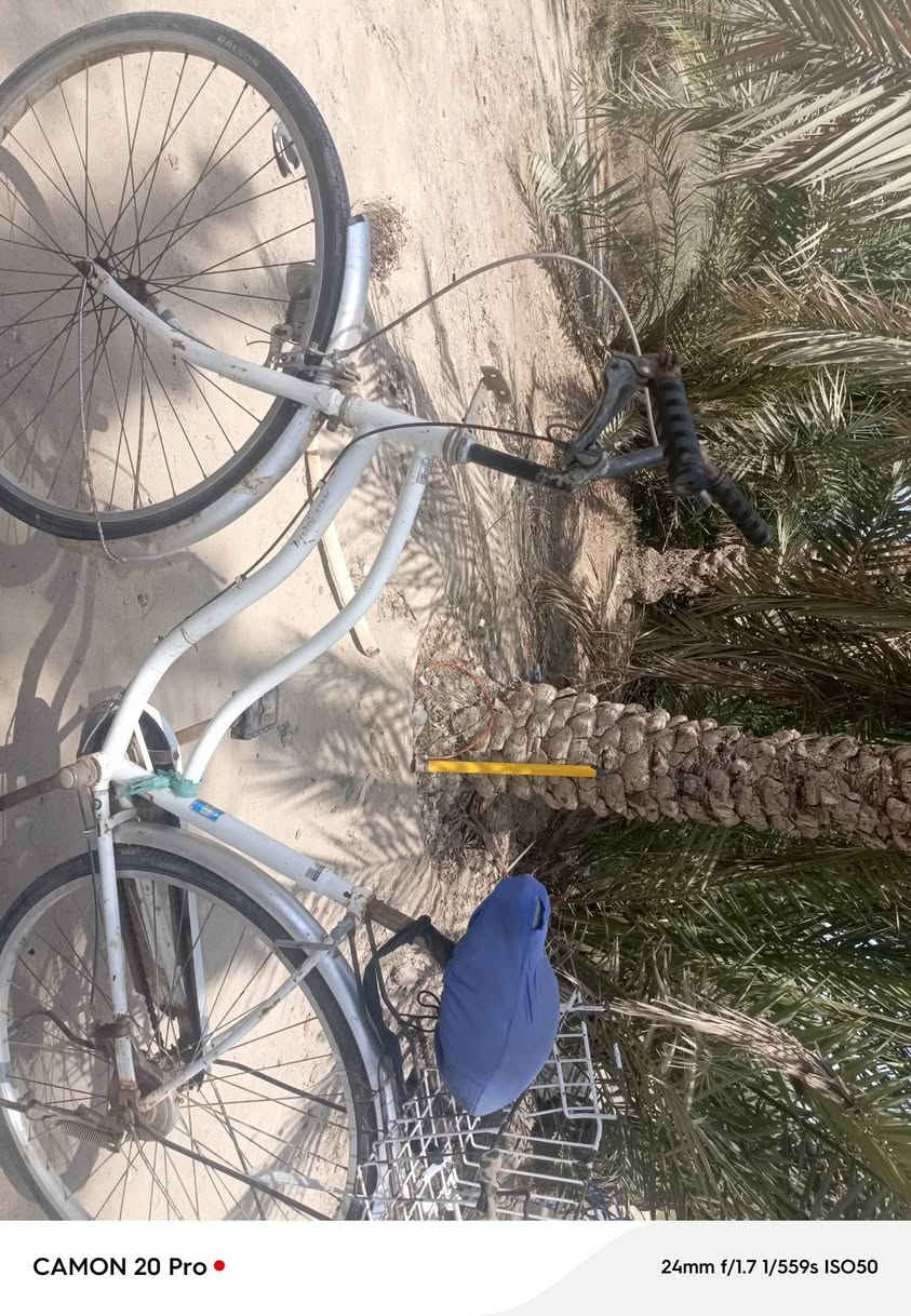 سلام عليكم باسكل للبيع السعر 40 وبي مجال المكان سوق الشيوخ رقم الهاتف  ***********
