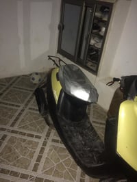 بوتين • معمر • معدل فول