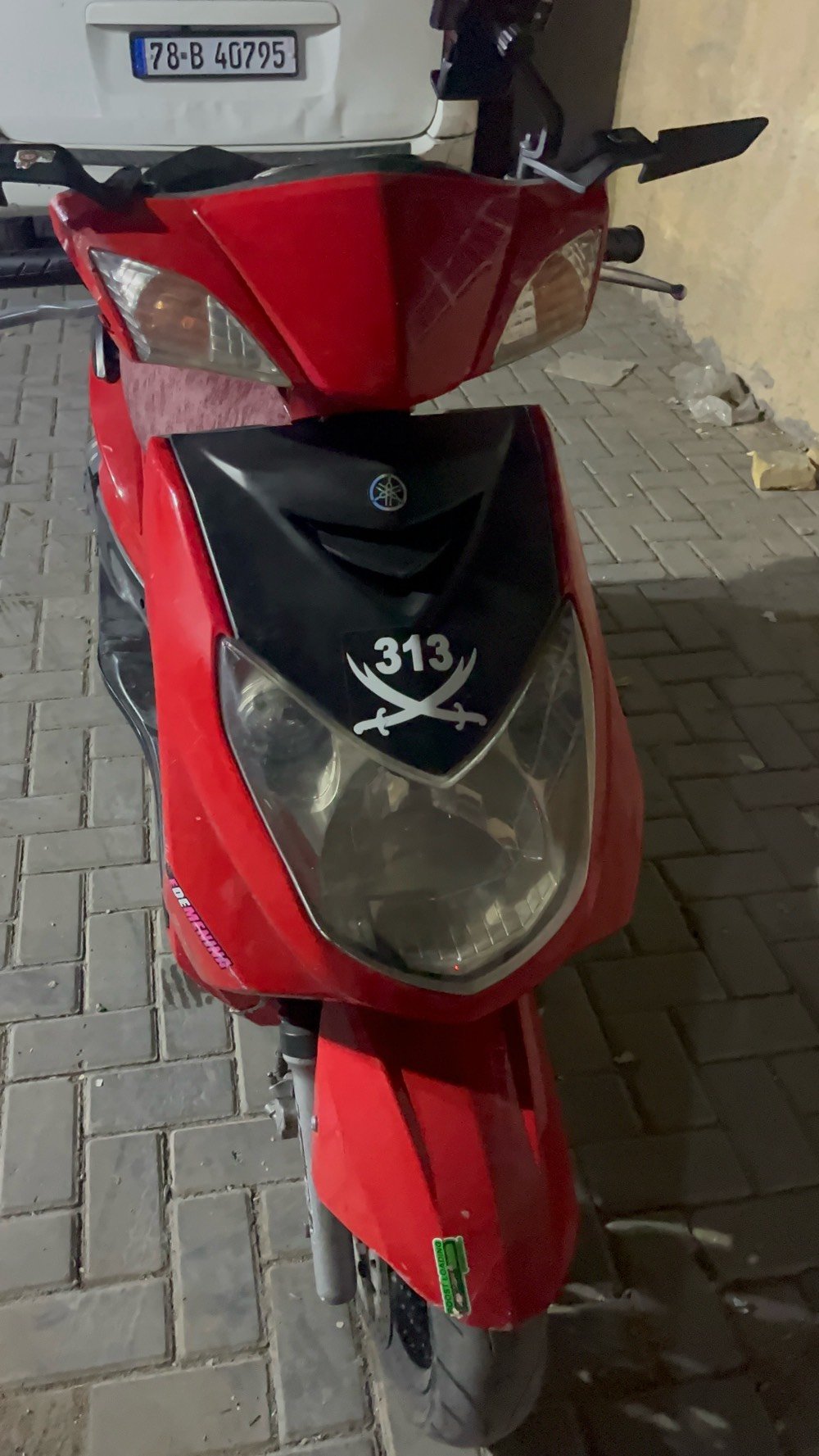 سكنس فحل • نوزل خطين • زنون اصلي