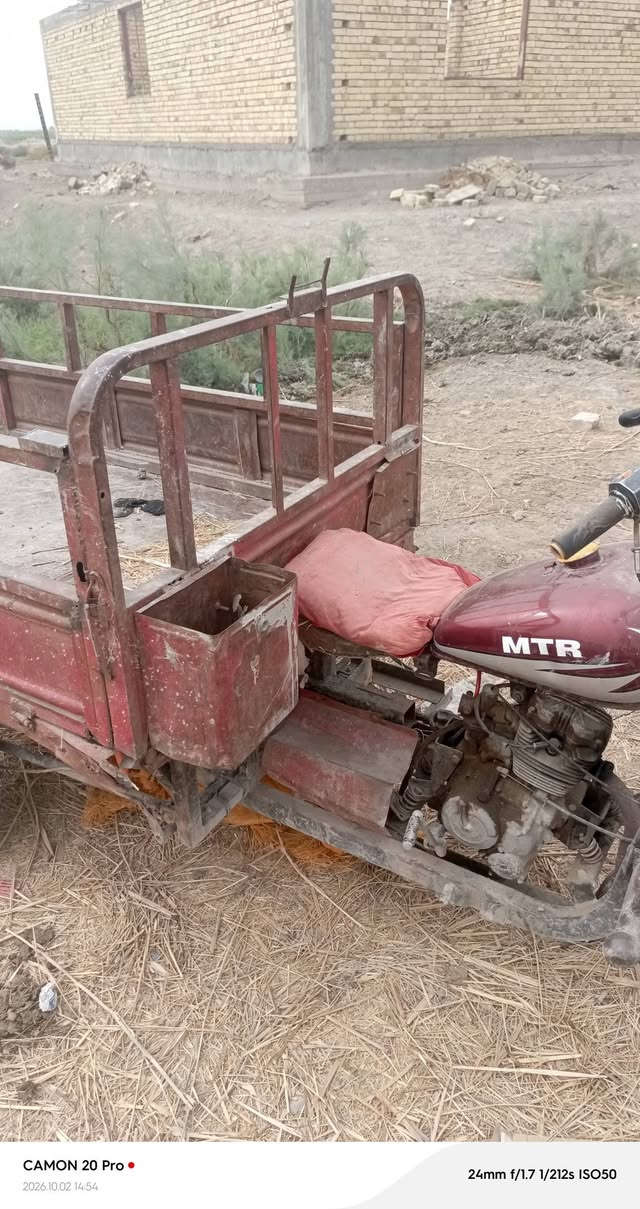 ستوته • شاصي ملحوم • بصرة