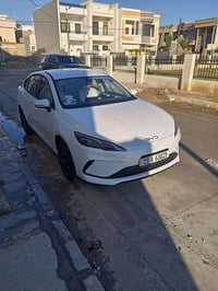 سيل • ٢٠٢٥ • رقم كركوك