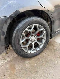 سلام وعليكم ويل عنكبوت اصلي لا فطر لا عواج مراوس مكاني بغداد الحسينيه ...