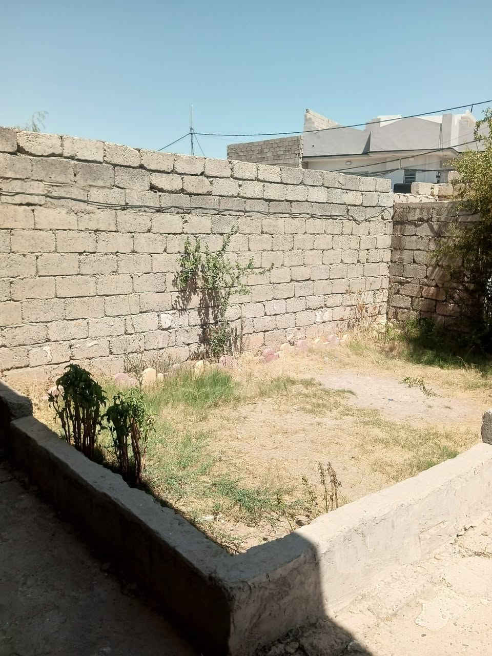 بيت للبيع في بعويزه خلف المدرسه بفرعين قريب من مولدة الشاهين المساحه 256 الواجها 8 والعمق ٣٢ البيت جاهز حيديقه داخل البيت سراميك المطبخ الي سقف والحمام للسقف سيراميك والداخل هول غرفتين واكو غرفة بل ترك مخليها للمونه واكو غرفه بل صطح والبيت جاهز وطني ومولده  وماي بي  السعر 35 للاستفسار الاتصال على الرقم *********** او اتصال على رقم 08756712329 والأرقام بيهم واتساب
