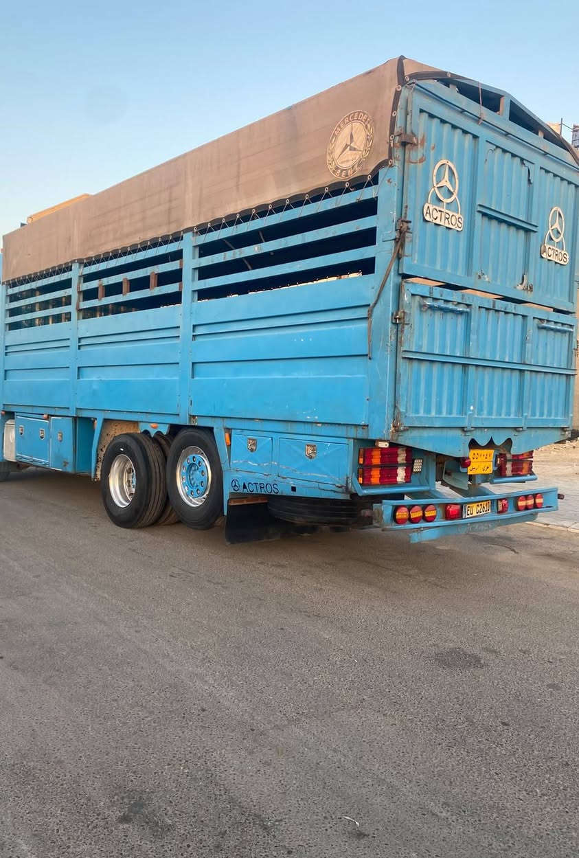 طول سبعه وربعين • ارتفاع مترين ونص • يشيل سبعات