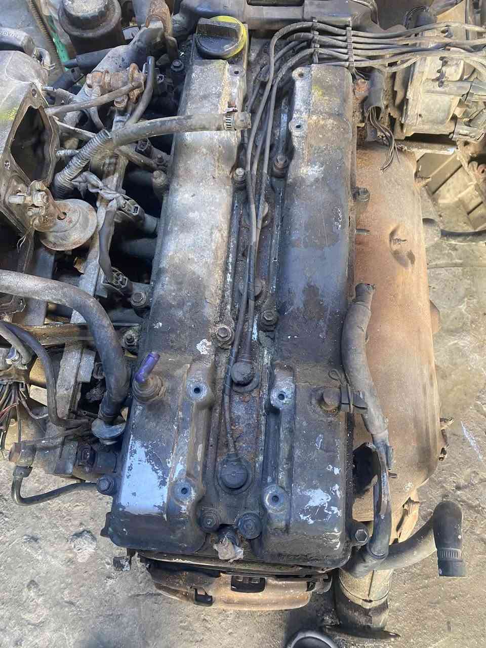طابوكه • الطالبيه