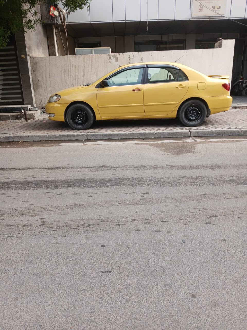 كورلا نحله • ٢٠٠٨ • رقم بغداد