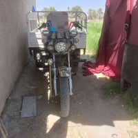 ستوته • اسود • كهربايات شغاله