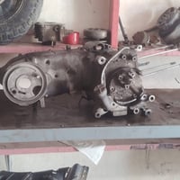 غراض دراجات • منغولي • سماوه بلخضر