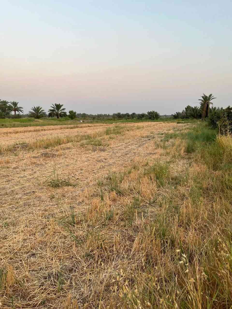 يالله السلام عليكم
🌴 للبيع أرض زراعية مميزة 🌾

المساحه : دونم وربع 
المساحة الكلية: 3125 م²
ارض جاهزه للسكن او زراعه يتوفر بيها
كهرباء وماء بالاضافه إلى قريبه على 
شارع تبليط مسافه 100 متر أو اقل 

📍 الموقع ابي غرق _ الرغيله _ منطقه زغيب 
📞 للاستفسار : ‭***********‬ / ‭***********‬
