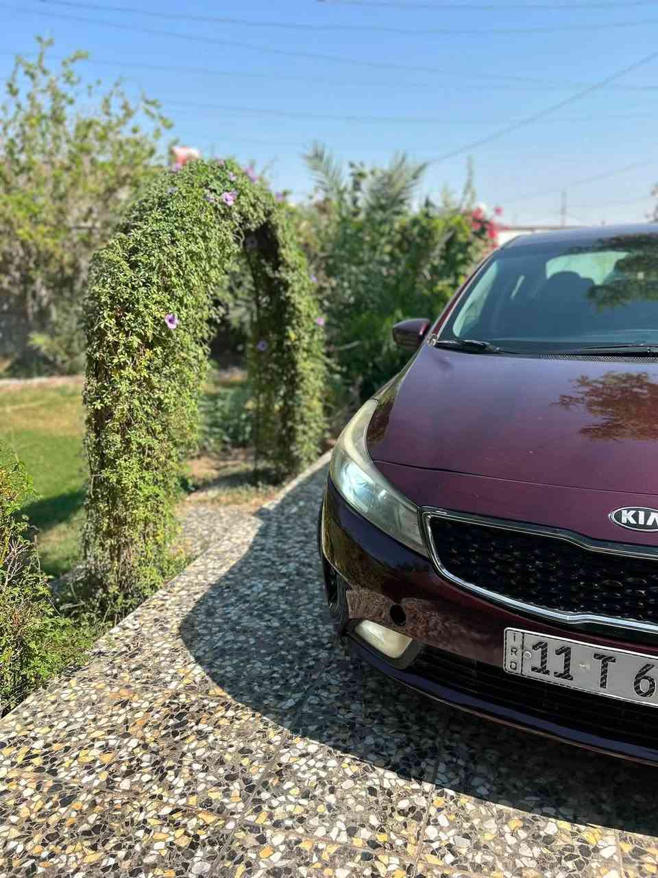 كيا فورتي موديل 2018 ليبل واحد
وارد امريكي حادثها فقط بنيد مصبوغ 

مكينة 2000 دوش كفاله 

كير at المرغوب كفاله

السيارة جديده بمعنى الكلمه

بجم زنون كامل

شاشه بلاديه+ كامرة

تحكمات ستيرن جهتين

كشنات  جديده 

منظومة تبريد جديدة 

تخم تاير جديد 

صدر امامي خلفي جديد 

تراي مال زيرو

السيارة بأسمي تحويل ثاني يوم

السيارة كاملة متصرف عليها شي

السعر 115 $$ و بيها مجال ان شاء الله 

مكاني بغداد

***********

‭***********
