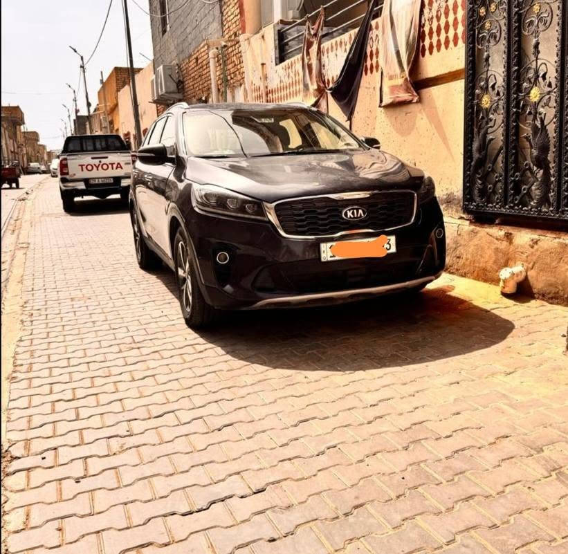 سورنتو • ٢٠١٩ • وارد امريكي