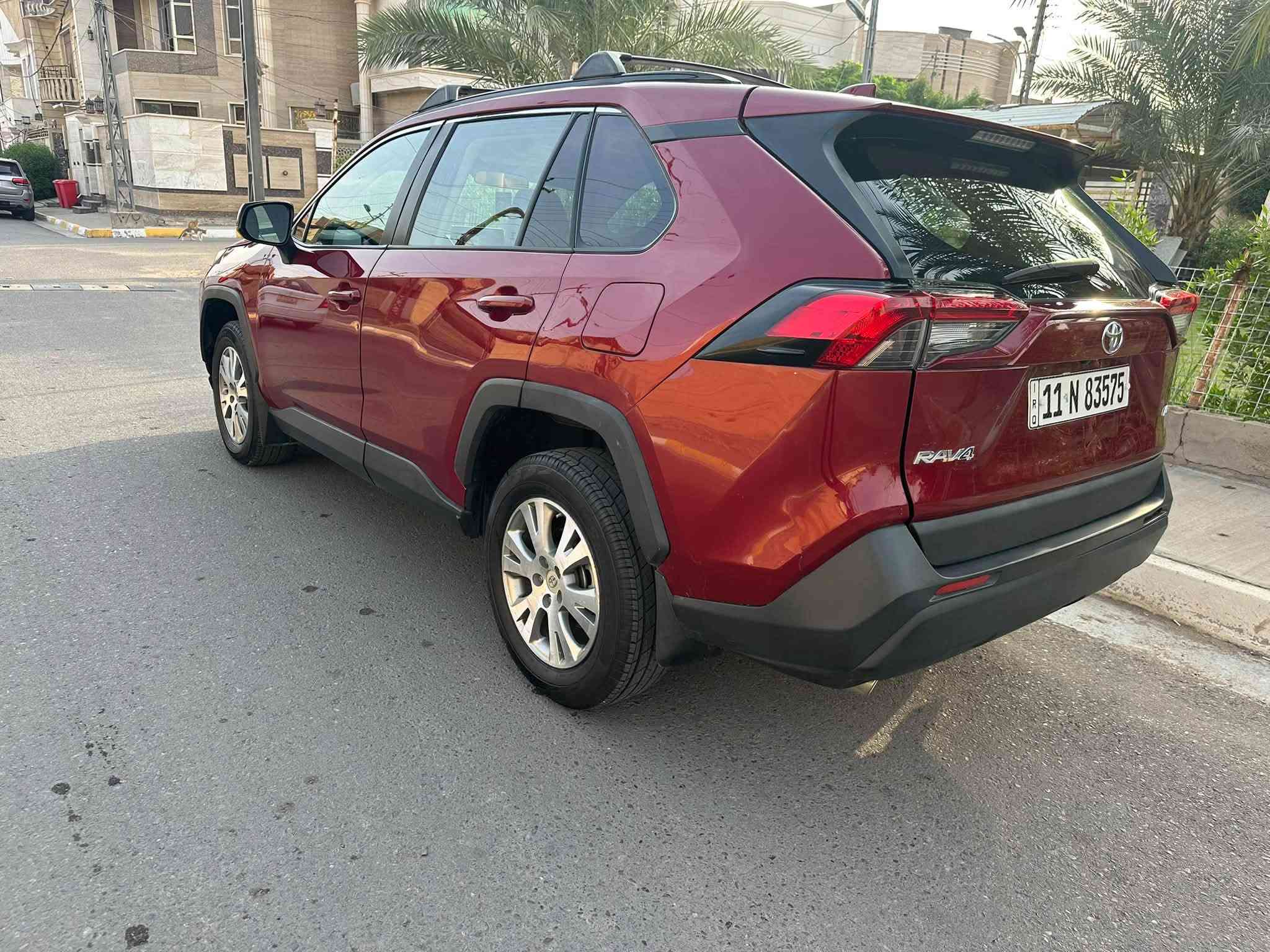 راف فور • ٢٠١٩ • بدون صبغ