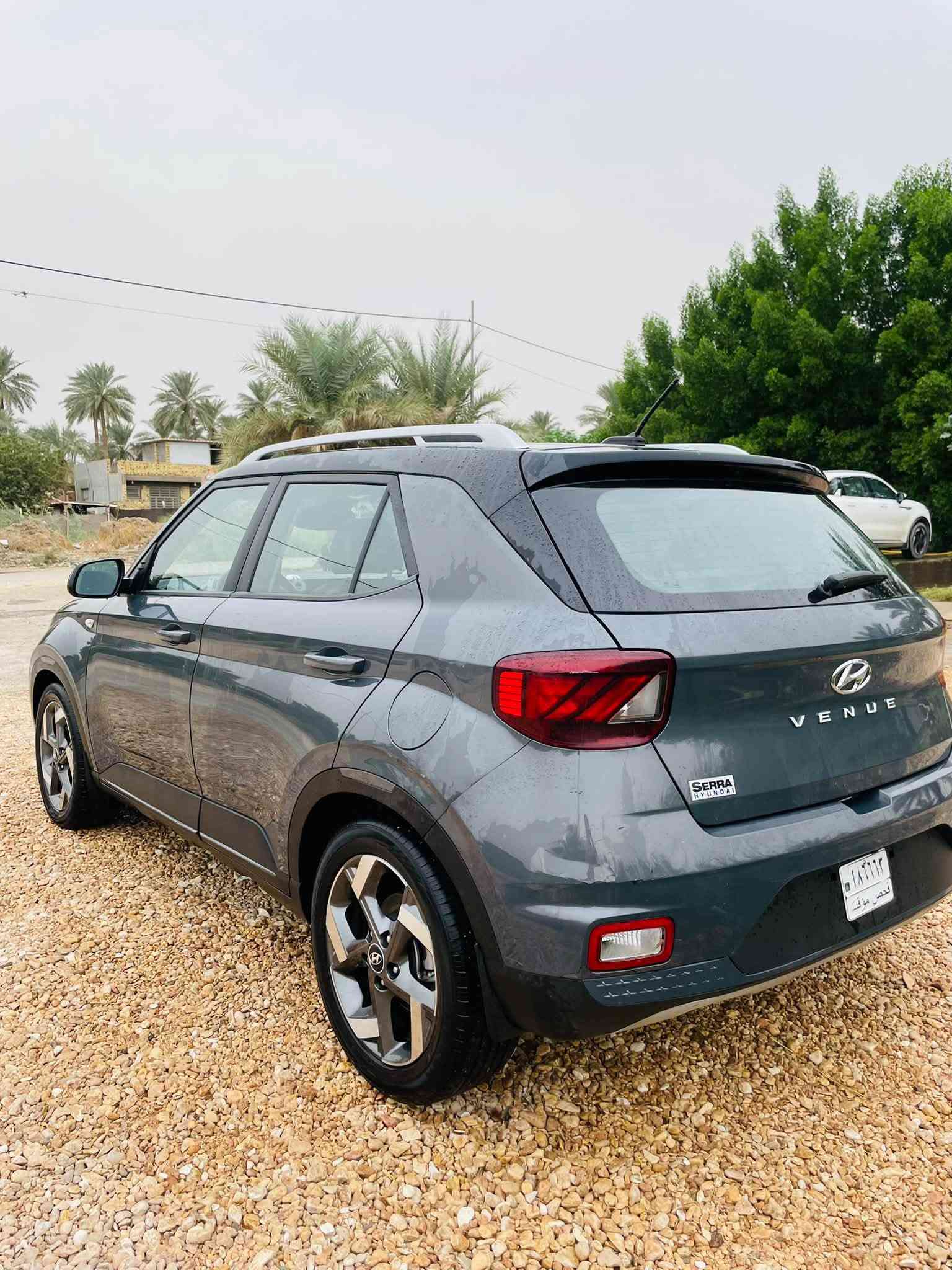 فينو • ٢٠٢٤ • بدون رقم