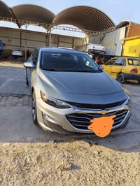 ماليبو ٢٠٢٤ • الديوانية • بدون تبديل
