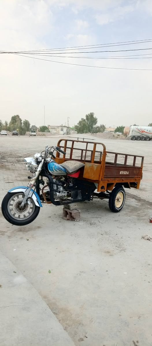 ستوته • ٢٠١٢ • اوراق مداور