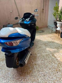 فورزا • ٢٠٠٨ • مكفوله
