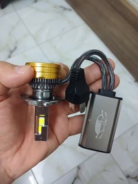 زنون H4 • لايت اكسنت • أصلي