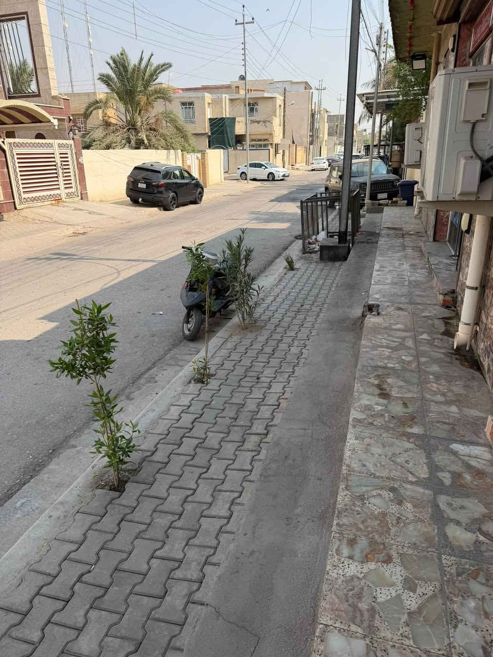 أسواق كاملة • ٣ سبالت • دور النفط