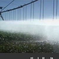 رضى زراعيه • ٥٠٠ دولم • باديت النجف