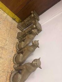 بغداد السعدون • كامل • شلع
