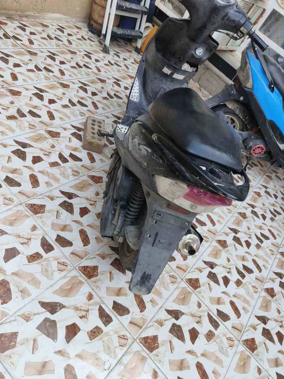 ماكس • سوده • ناعمه