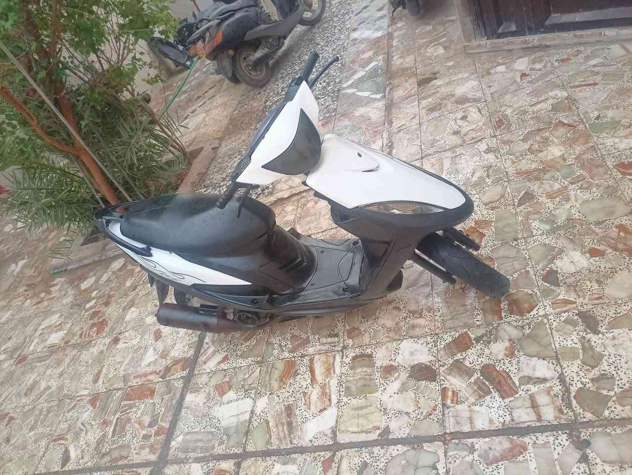 ماكس عدلة • نضيفه • شاصي مكفول